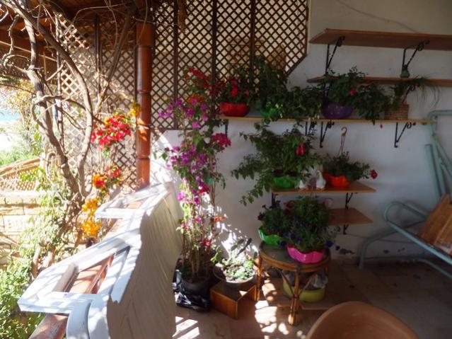 Name:  DSCF3921.jpg
Views: 277
Size:  62.6 KB