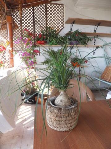 Name:  DSCF3923.jpg
Views: 242
Size:  35.2 KB