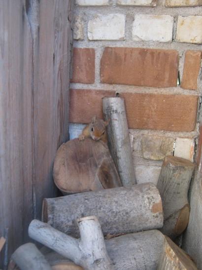 Name:  sincap.jpg
Views: 1053
Size:  31.5 KB