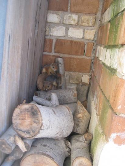 Name:  sincap3.jpg
Views: 1031
Size:  31.5 KB
