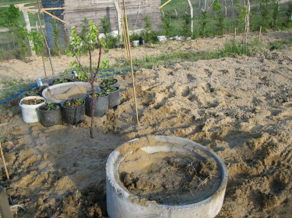 Name:  atalca 007.jpg
Views: 1183
Size:  70.1 KB