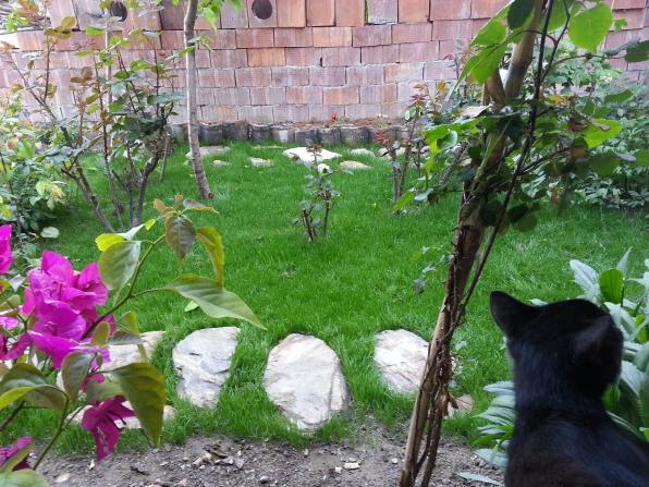 Name:  20130428_171523--.jpg
Views: 433
Size:  70.5 KB