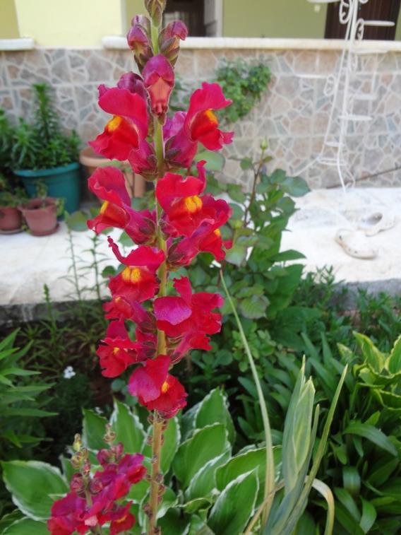 Name:  aslnaz.jpg
Views: 941
Size:  65.5 KB