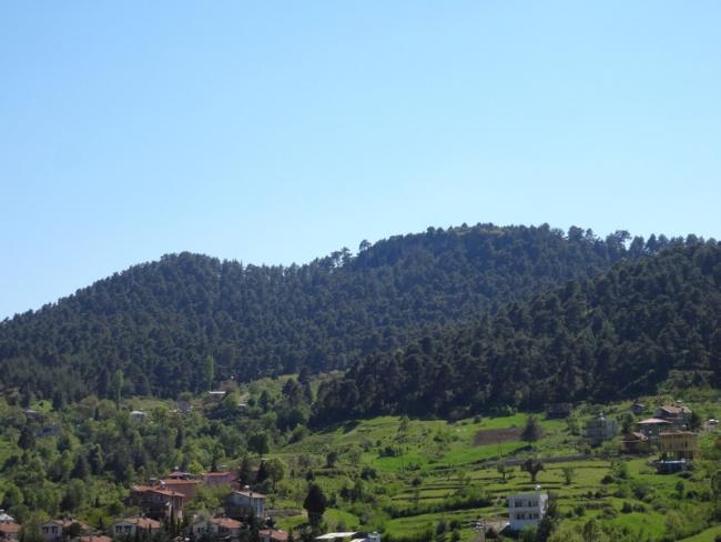 Name:  ormanm.jpg
Views: 871
Size:  36.2 KB