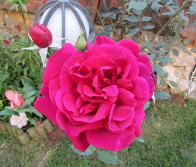 Name:  IMG_2605.jpg
Views: 446
Size:  57.9 KB