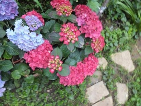 Name:  DSCF4030.jpg
Views: 293
Size:  37.5 KB