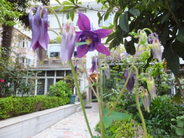 Name:  DSCF4034.jpg
Views: 301
Size:  65.3 KB