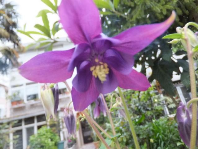 Name:  DSCF4035.jpg
Views: 280
Size:  43.2 KB