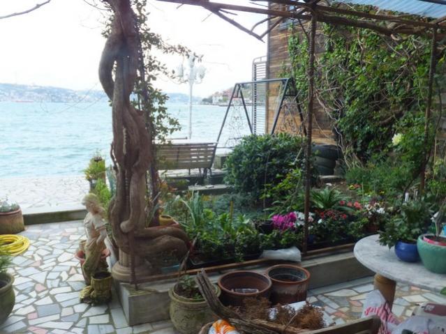 Name:  DSCF4091.jpg
Views: 298
Size:  60.0 KB