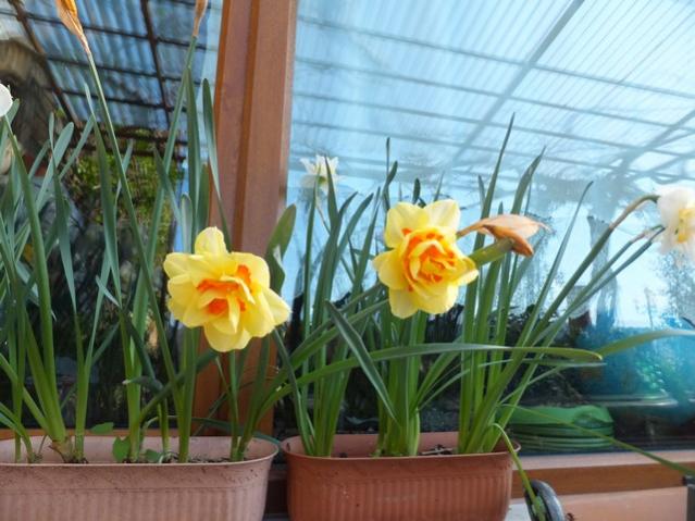 Name:  DSCF4122.jpg
Views: 278
Size:  51.5 KB
