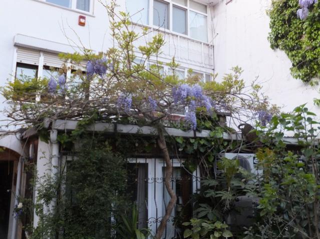 Name:  DSCF4133.jpg
Views: 254
Size:  60.6 KB
