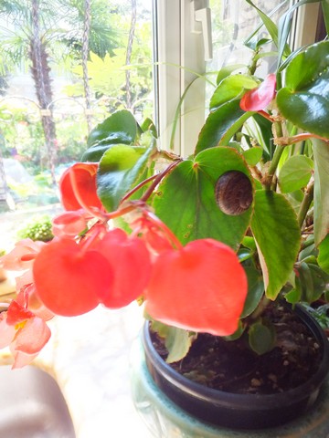 Name:  DSCF4178.jpg
Views: 277
Size:  65.2 KB