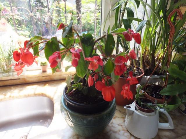 Name:  DSCF4180.jpg
Views: 281
Size:  54.6 KB