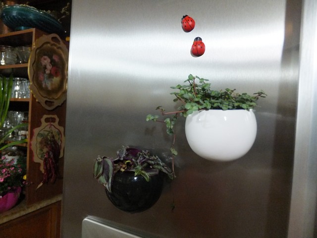 Name:  DSCF4189.jpg
Views: 333
Size:  66.6 KB