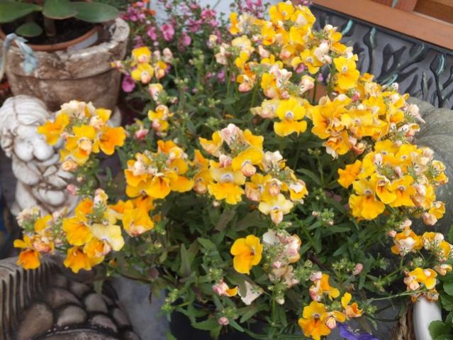 Name:  DSCF4233.jpg
Views: 661
Size:  64.6 KB