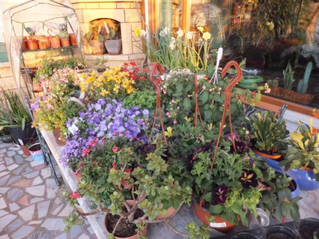 Name:  DSCF4279.jpg
Views: 579
Size:  69.3 KB