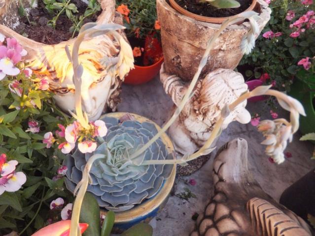 Name:  DSCF4282.jpg
Views: 566
Size:  60.2 KB