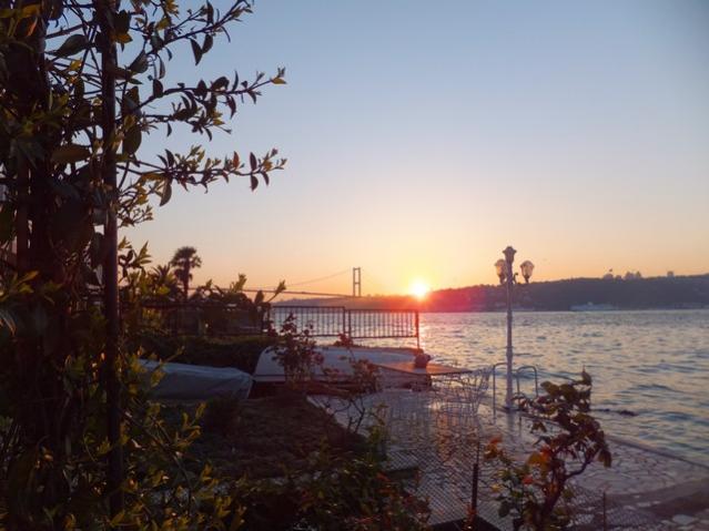 Name:  DSCF4300.jpg
Views: 550
Size:  42.2 KB
