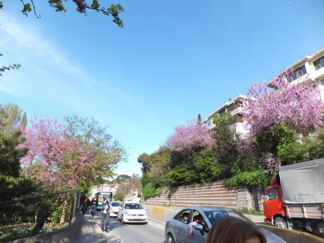 Name:  DSCF4349.jpg
Views: 808
Size:  48.4 KB