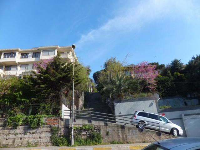 Name:  DSCF4352.jpg
Views: 564
Size:  45.4 KB