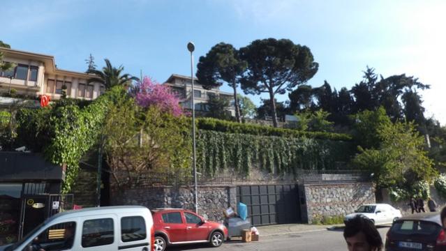 Name:  DSCF4358.jpg
Views: 594
Size:  42.7 KB