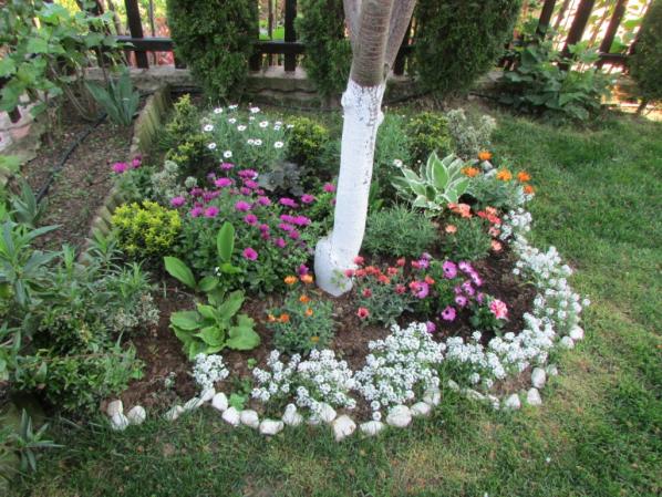 Name:  IMG_3214.jpg
Views: 404
Size:  72.2 KB