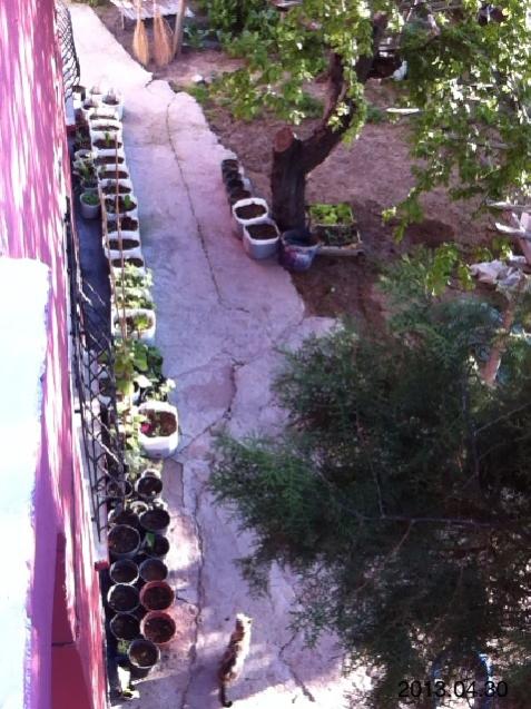 Name:  IMG_5505.jpg
Views: 357
Size:  64.0 KB