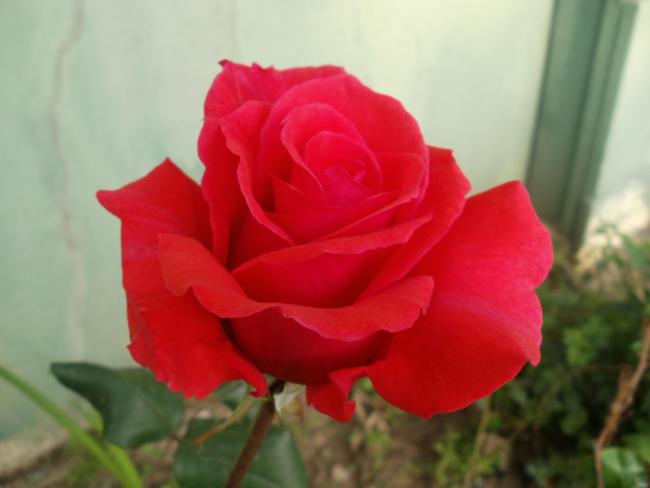 Name:  P1010329a.jpg
Views: 387
Size:  25.3 KB