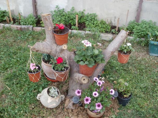 Name:  P1010322a.jpg
Views: 435
Size:  70.7 KB