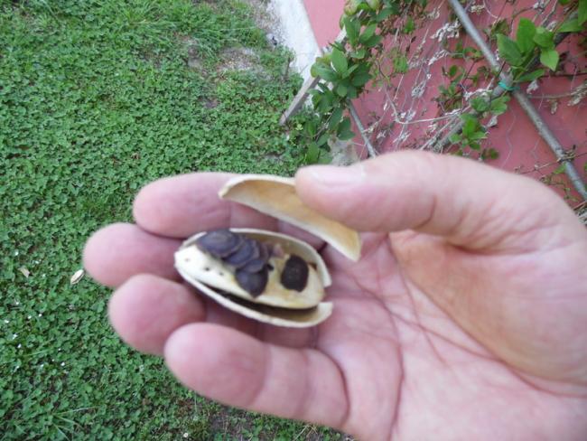 Name:  180-SAM_1274.jpg
Views: 749
Size:  58.7 KB