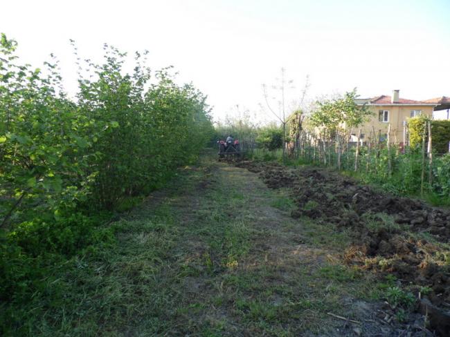 Name:  251-251.jpg
Views: 700
Size:  55.3 KB
