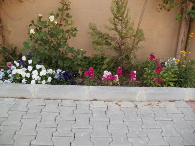 Name:  P1010346a.jpg
Views: 411
Size:  49.7 KB
