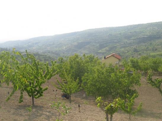 Name:  bahe.jpg
Views: 955
Size:  33.0 KB