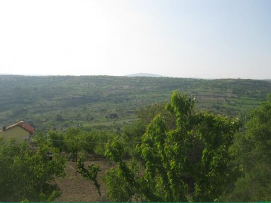 Name:  bahe1.jpg
Views: 959
Size:  26.9 KB