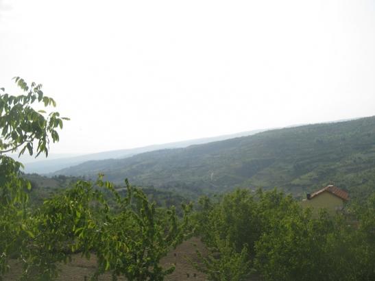Name:  bahe2.jpg
Views: 1220
Size:  23.2 KB