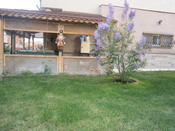 Name:  leylak3 (600 x 450).jpg
Views: 762
Size:  48.0 KB