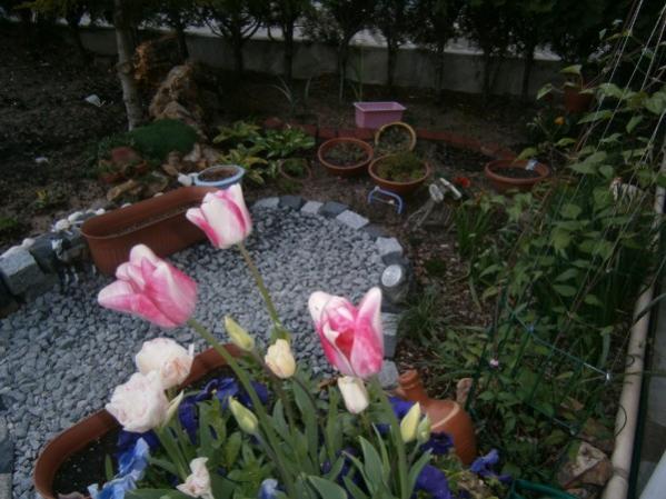Name:  arka2(600 x 450).jpg
Views: 730
Size:  48.0 KB