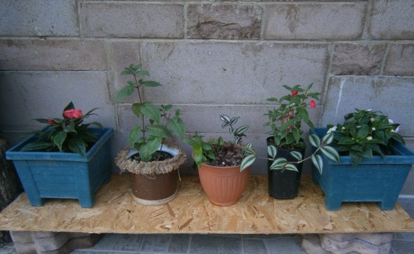 Name:  glge (600 x 369).jpg
Views: 740
Size:  63.5 KB