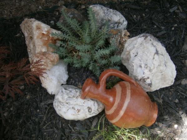 Name:  sedum (2) (600 x 450).jpg
Views: 735
Size:  45.9 KB
