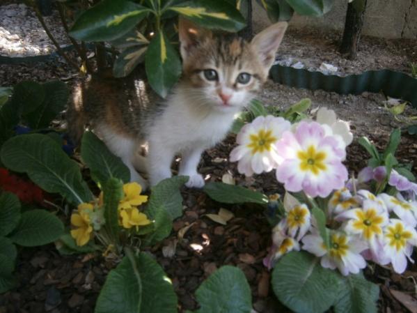 Name:  boncukcuha (600 x 450).jpg
Views: 727
Size:  41.1 KB