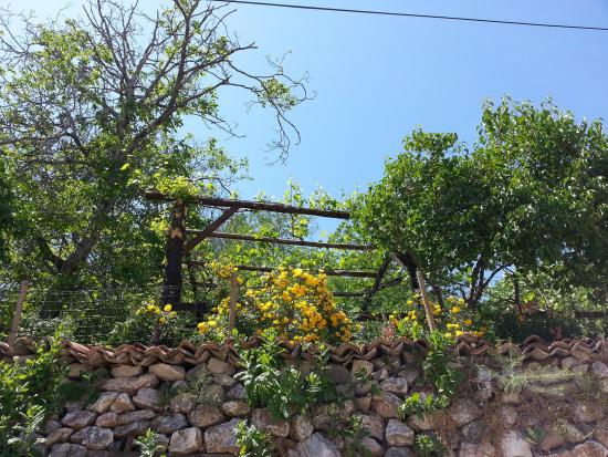 Name:  20130506_123024--.jpg
Views: 399
Size:  70.2 KB