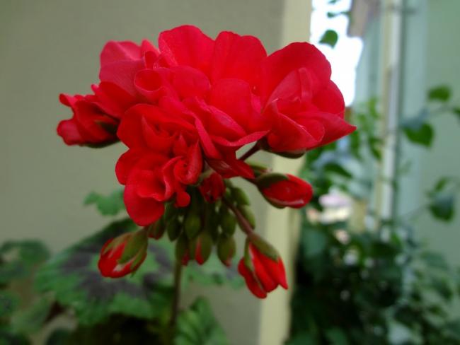 Name:  sar1.jpg
Views: 984
Size:  27.4 KB