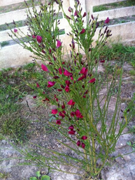 Name:  58-013.jpg
Views: 1272
Size:  73.3 KB