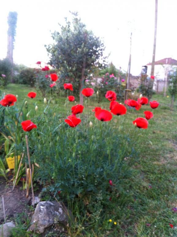 Name:  67-022.jpg
Views: 859
Size:  66.2 KB