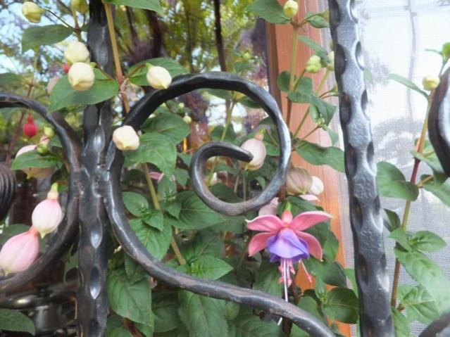 Name:  DSCF4853.jpg
Views: 270
Size:  54.3 KB