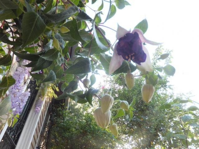 Name:  DSCF4859.jpg
Views: 274
Size:  54.6 KB