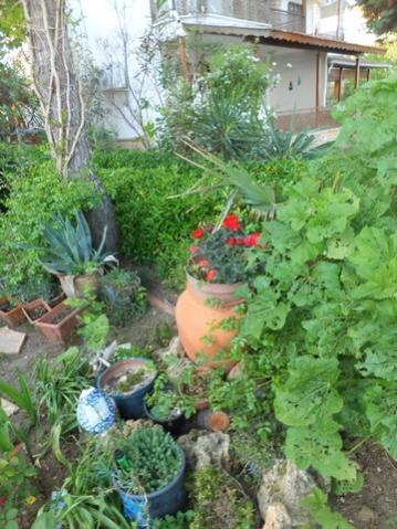 Name:  DSCF4919.jpg
Views: 243
Size:  42.9 KB