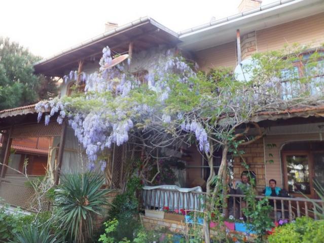 Name:  DSCF4927.jpg
Views: 247
Size:  56.6 KB