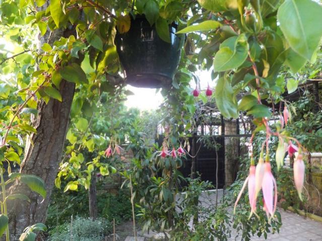 Name:  DSCF4963.jpg
Views: 239
Size:  69.9 KB