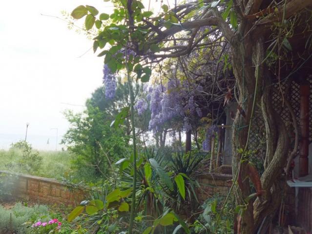 Name:  DSCF5008.jpg
Views: 232
Size:  54.5 KB